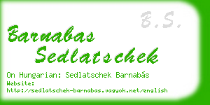 barnabas sedlatschek business card